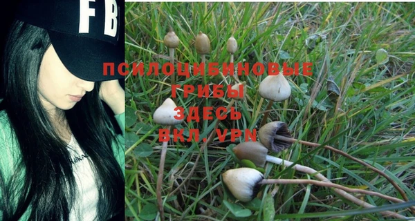 Альфа ПВП Вяземский