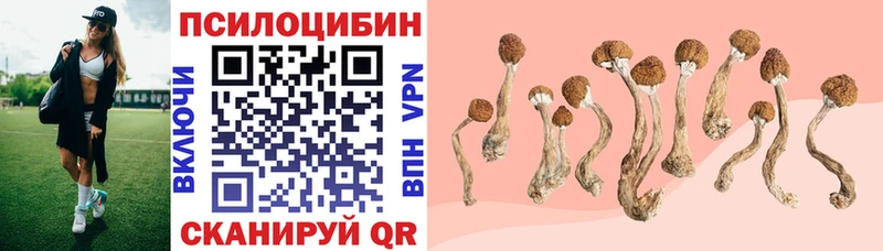 Псилоцибиновые грибы GOLDEN TEACHER Железноводск