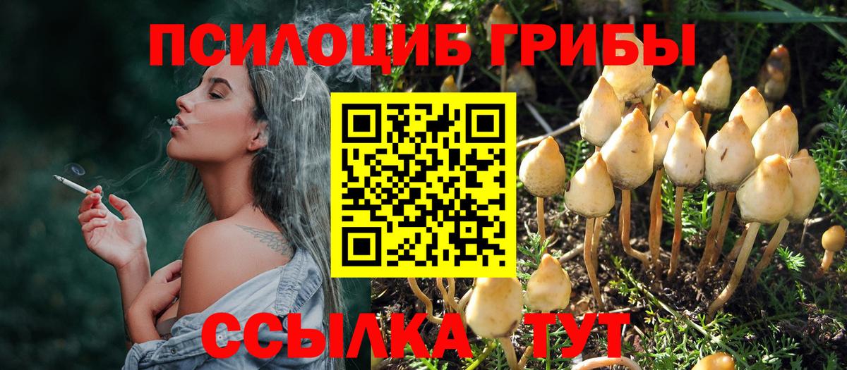 Галлюциногенные грибы Psilocybe Железноводск