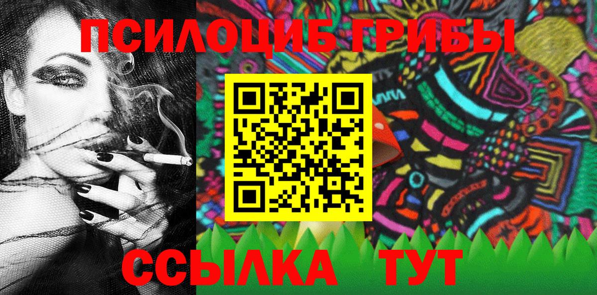 купить   Псилоцибиновые грибы мицелий  Псилоцибиновые грибы прущие грибы  Вход с VPN  Железноводск 