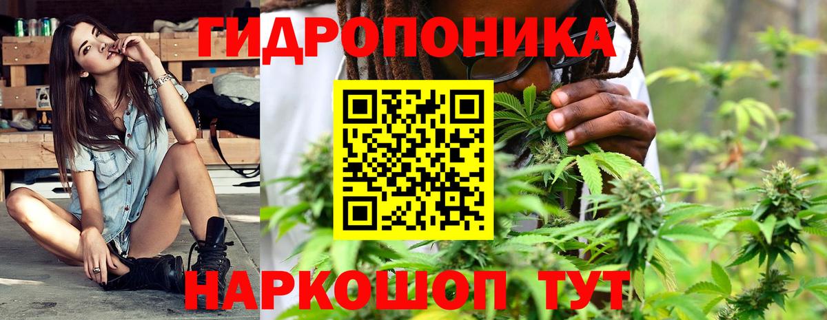 Шишки марихуана SATIVA & INDICA  Вход с VPN  Шишки марихуана планчик  Железноводск  Канабис OG Kush 